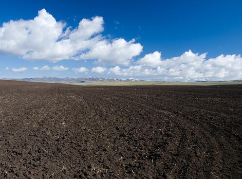 Проект рекультивації земель в Україні