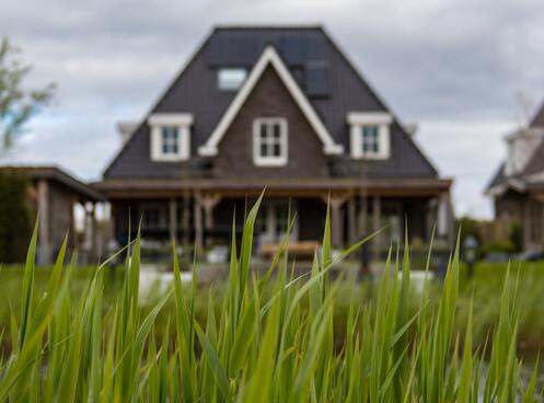 Приватизація землі в Дніпрі: як пройти процедуру з найменшими втратами?